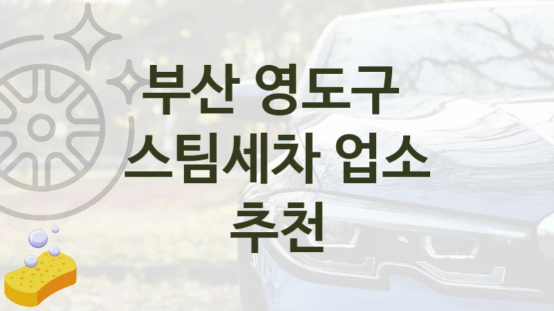 부산 영도구 
스팀세차 업소 추천