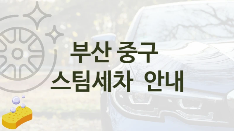 부산 중구 
스팀세차  안내