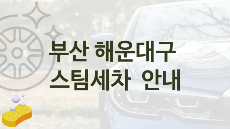 부산 해운대구 
스팀세차  안내