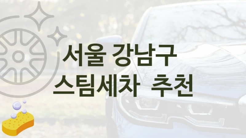 서울 강남구 
스팀세차  추천