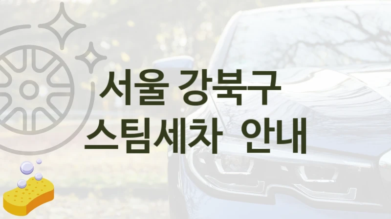 서울 강북구 
스팀세차  안내