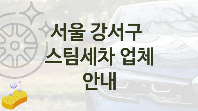 서울 강서구 
스팀세차 업체 안내