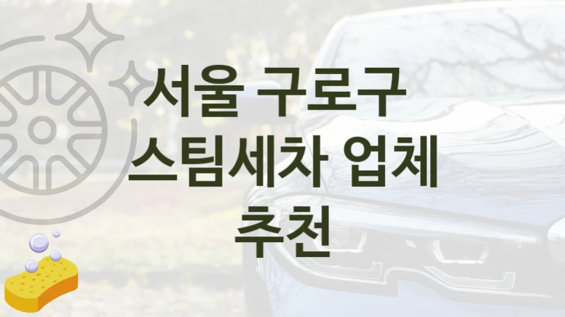 서울 구로구 
스팀세차 업체 추천