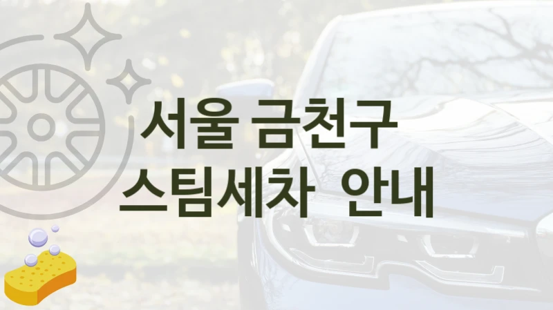 서울 금천구 
스팀세차  안내