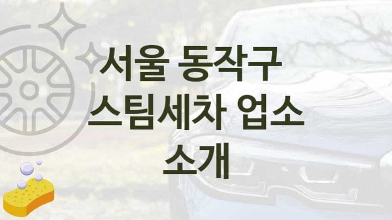 서울 동작구 
스팀세차 업소 소개