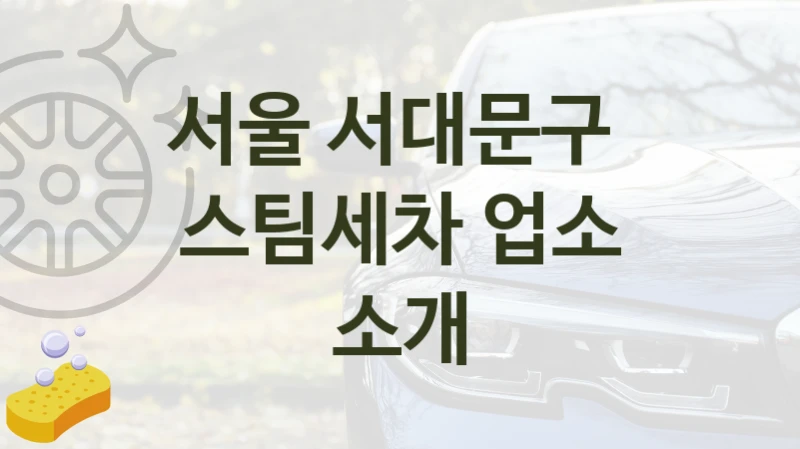 서울 서대문구 
스팀세차 업소 소개