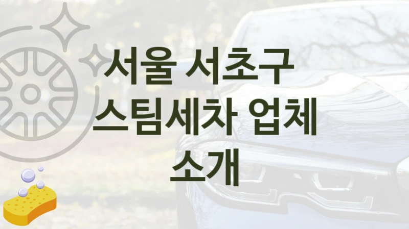 서울 서초구 
스팀세차 업체 소개