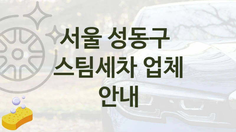 서울 성동구 
스팀세차 업체 안내