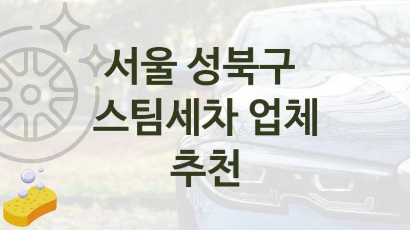 서울 성북구 
스팀세차 업체 추천