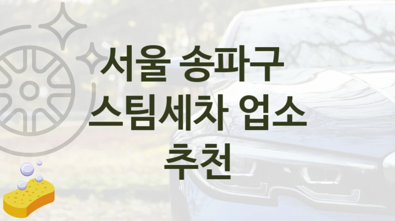 서울 송파구 
스팀세차 업소 추천