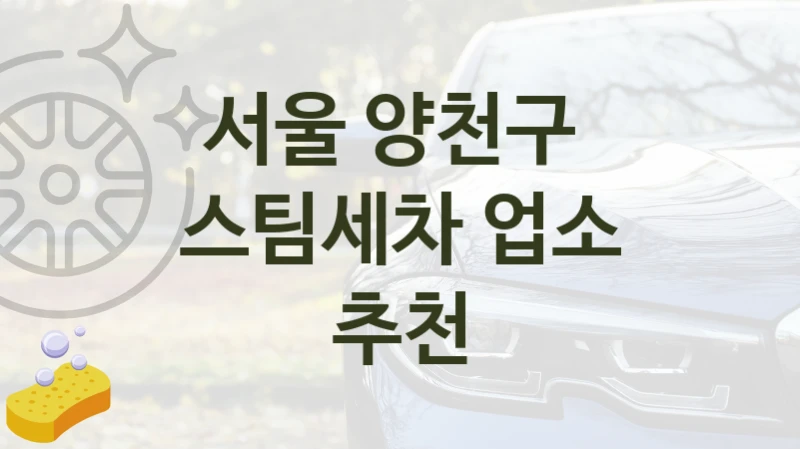 서울 양천구 
스팀세차 업소 추천