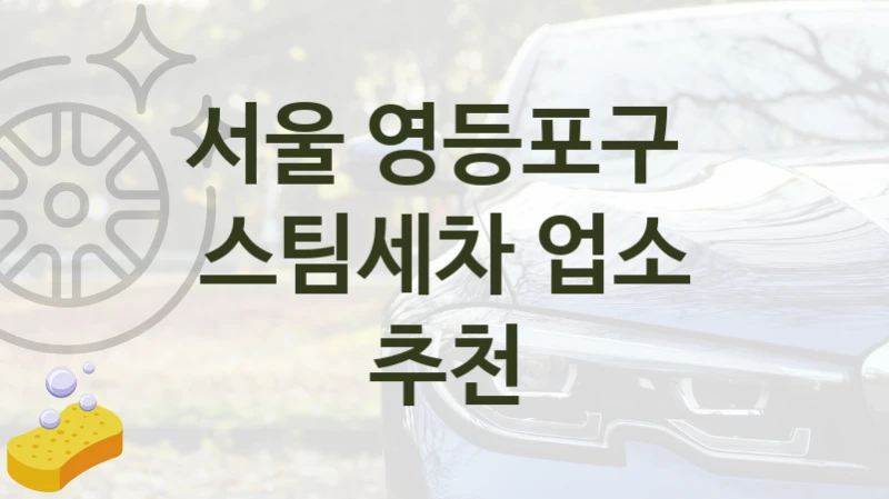 서울 영등포구 
스팀세차 업소 추천