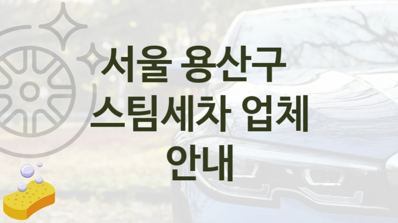 서울 용산구 
스팀세차 업체 안내