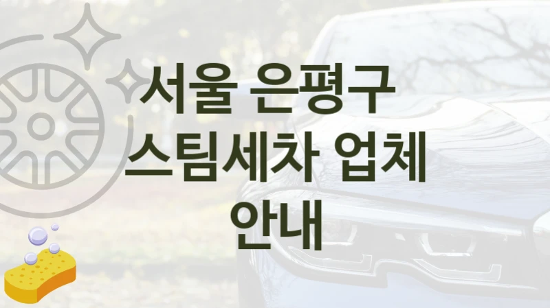 서울 은평구 
스팀세차 업체 안내