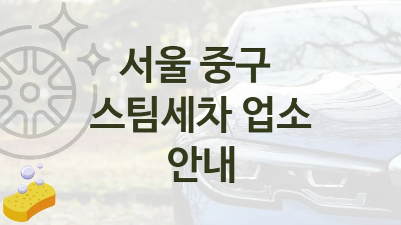 서울 중구 
스팀세차 업소 안내