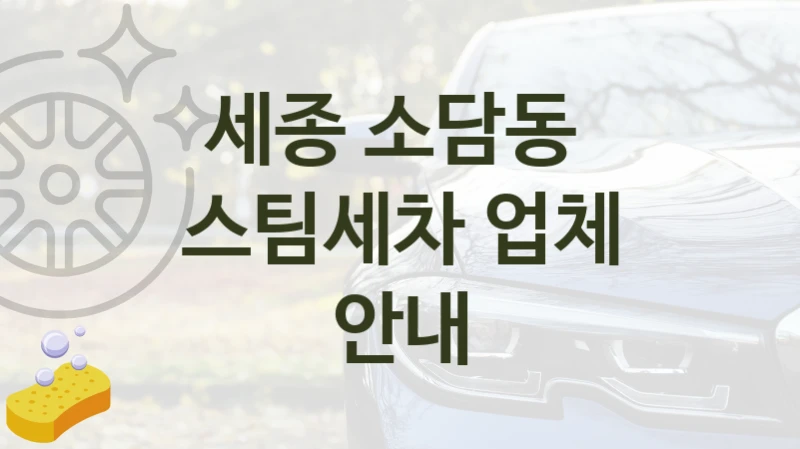 세종 소담동 
스팀세차 업체 안내