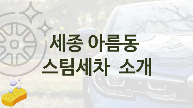 세종 아름동 
스팀세차  소개