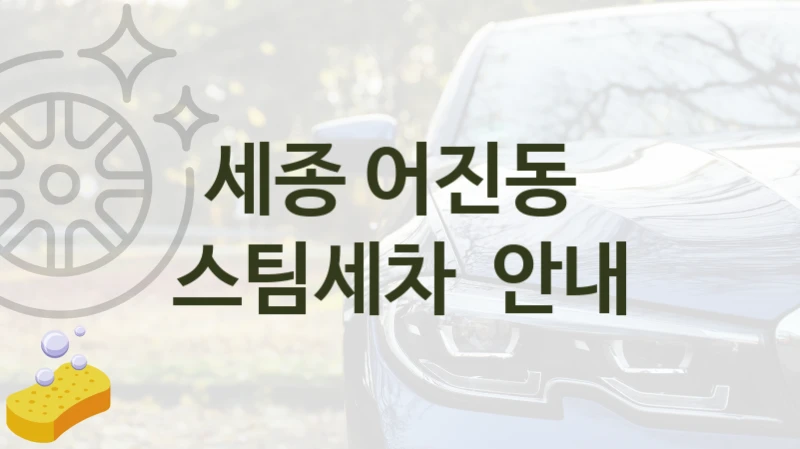세종 어진동 
스팀세차  안내