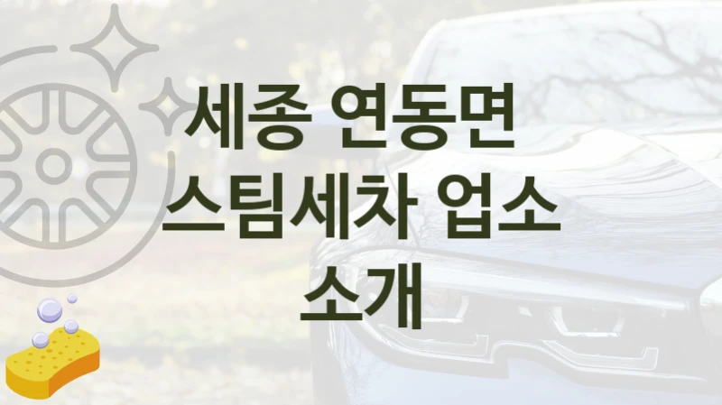 세종 연동면 
스팀세차 업소 소개