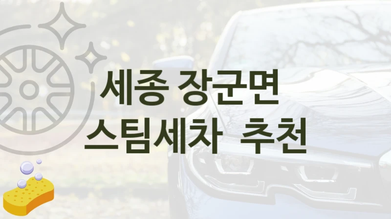 세종 장군면 
스팀세차  추천