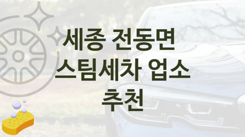 세종 전동면 
스팀세차 업소 추천