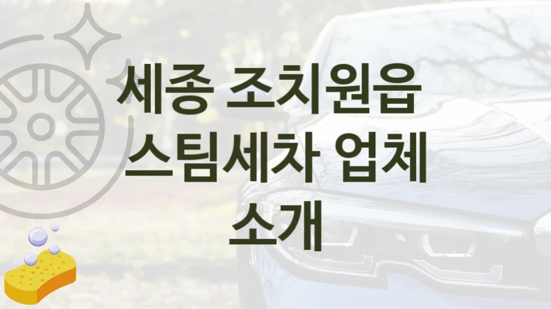 세종 조치원읍 
스팀세차 업체 소개