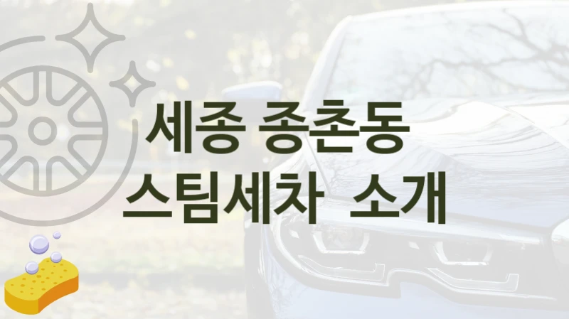 세종 종촌동 
스팀세차  소개