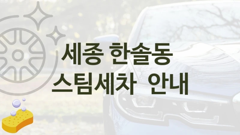 세종 한솔동 
스팀세차  안내