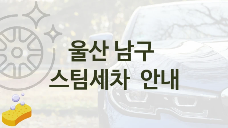 울산 남구 
스팀세차  안내