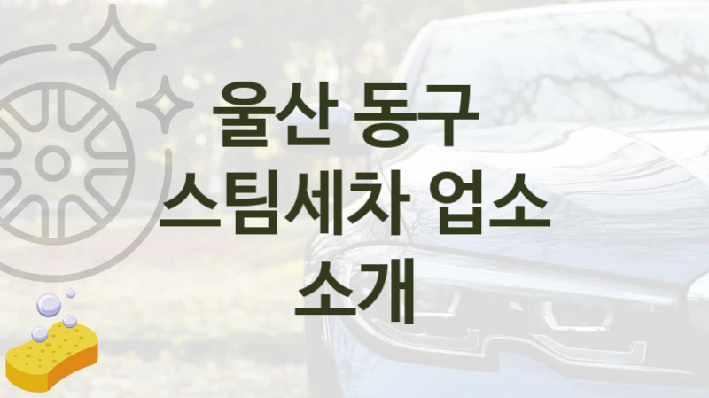 울산 동구 
스팀세차 업소 소개