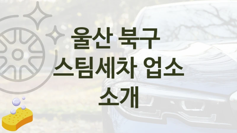 북구  스팀세차 안내 및 추천 부위별 옵션별 비용