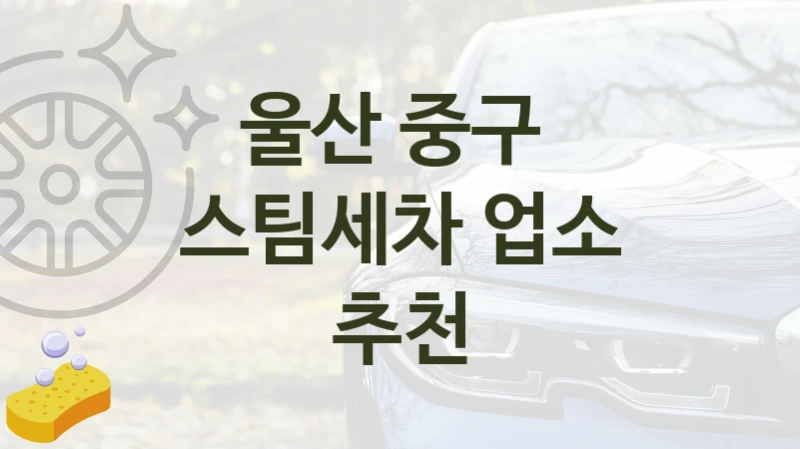 울산 중구 
스팀세차 업소 추천