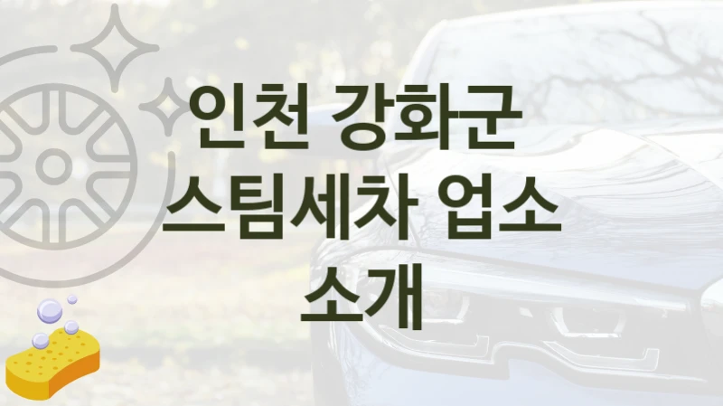 인천 강화군 
스팀세차 업소 소개