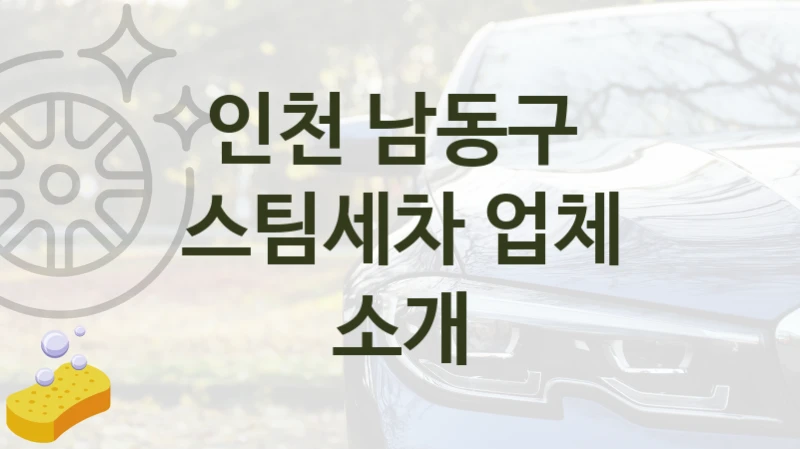 인천 남동구 
스팀세차 업체 소개