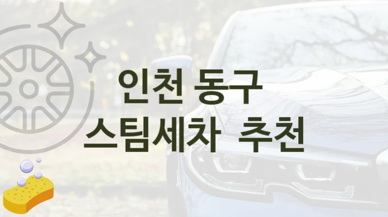인천 동구 
스팀세차  추천