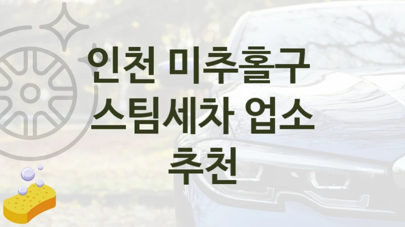 인천 미추홀구 
스팀세차 업소 추천