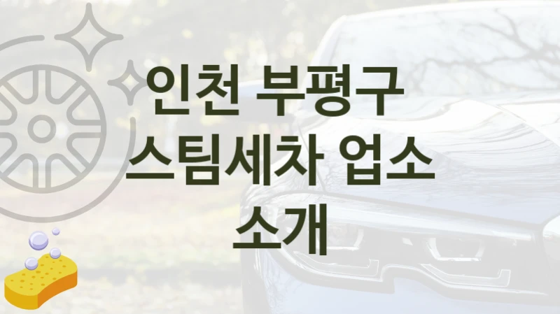 인천 부평구 
스팀세차 업소 소개