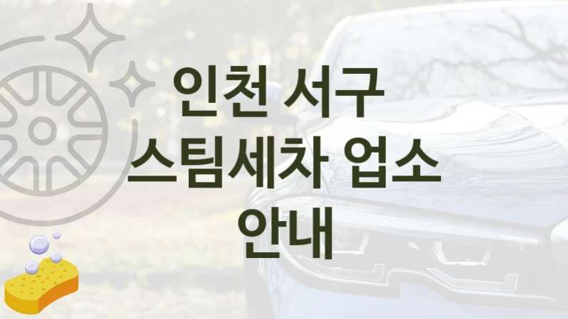 인천 서구 
스팀세차 업소 안내