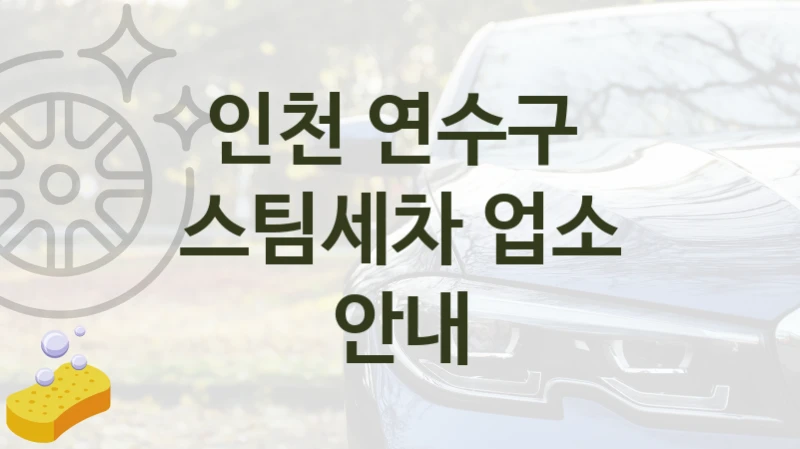 인천 연수구 
스팀세차 업소 안내