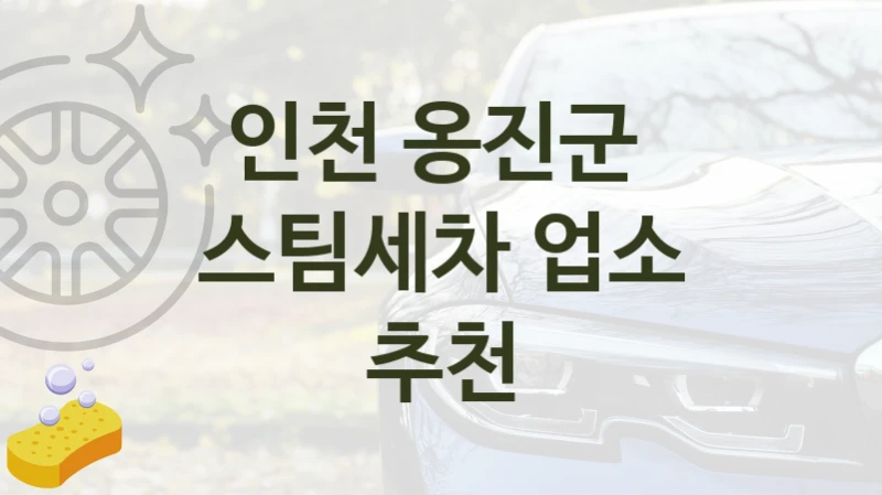 인천 옹진군 
스팀세차 업소 추천