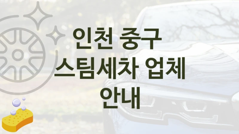 인천 중구 
스팀세차 업체 안내