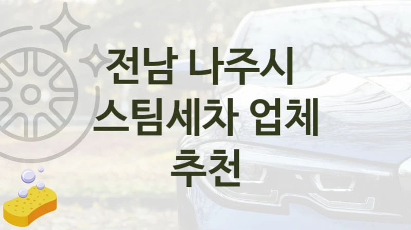 전남 나주시 
스팀세차 업체 추천