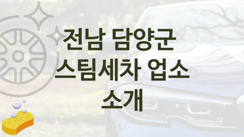 전남 담양군 
스팀세차 업소 소개