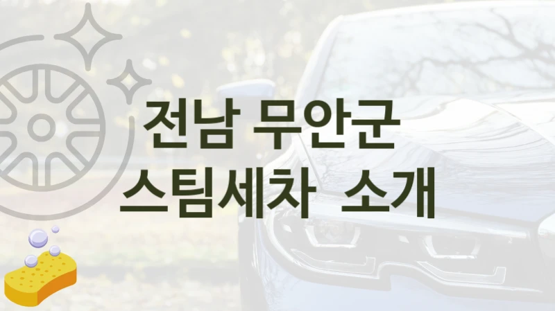 전남 무안군 
스팀세차  소개