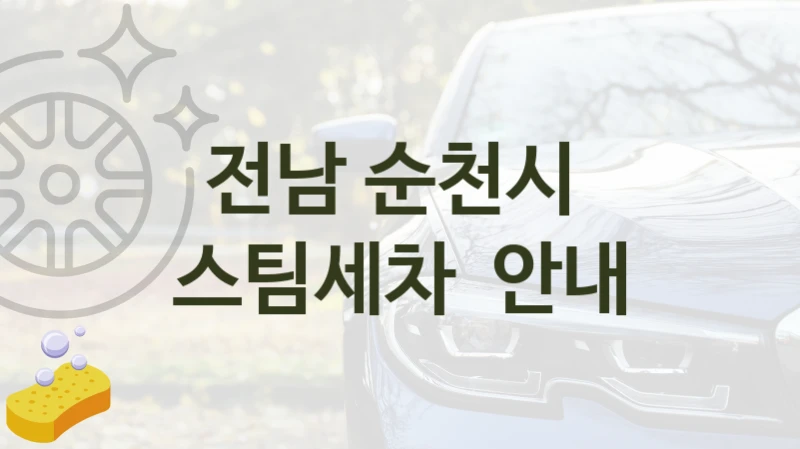 전남 순천시 
스팀세차  안내