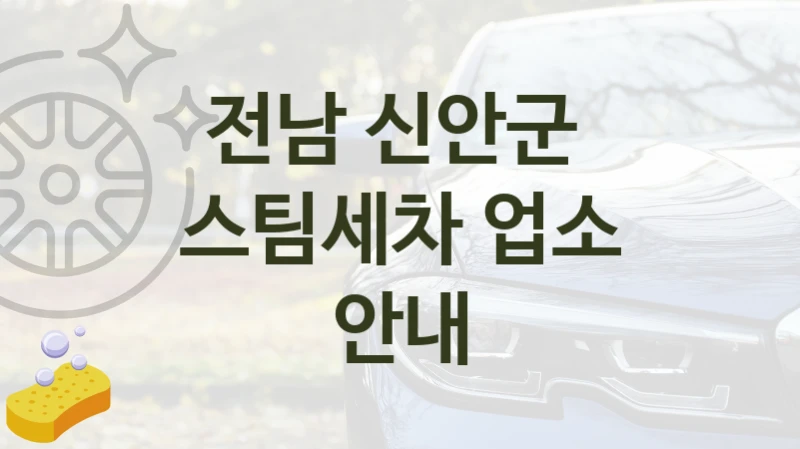 전남 신안군 
스팀세차 업소 안내