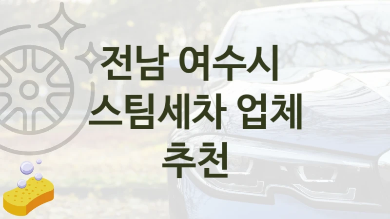 전남 여수시 
스팀세차 업체 추천