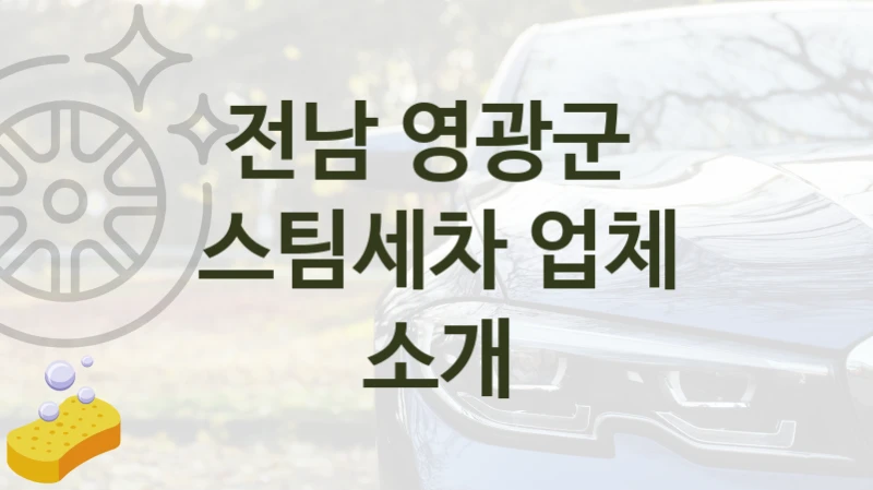 전남 영광군 
스팀세차 업체 소개