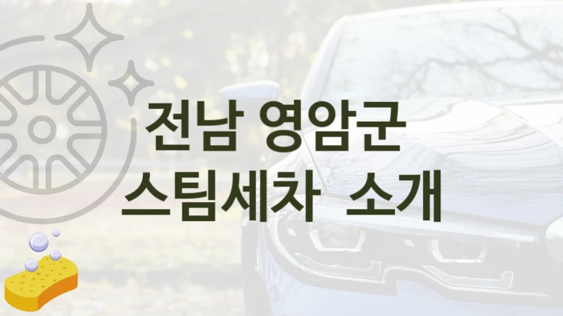 전남 영암군 
스팀세차  소개