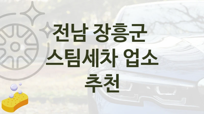 전남 장흥군 
스팀세차 업소 추천